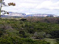 El paisaje alrededor de la Cueva de Pratinha, Chapada Diamantina, Bahía, Brasil. Author and Copyright: Marco Ramerini