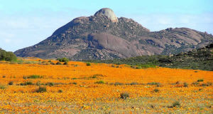 Namaqualand, Sudáfrica. Author and Copyright: Marco Ramerini