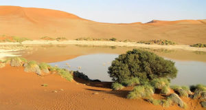 Sossusvlei, desierto de Namib, Namib-Naukluft, Namibia. Autor y Copyright Marco Ramerini ..